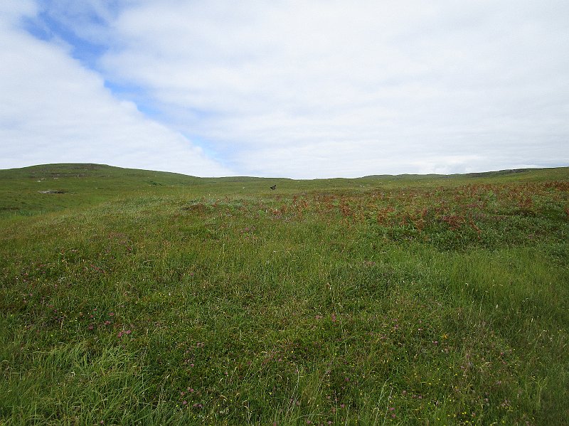 2018.07.10 bei Ron an der Nordwestkueste (2191).JPG